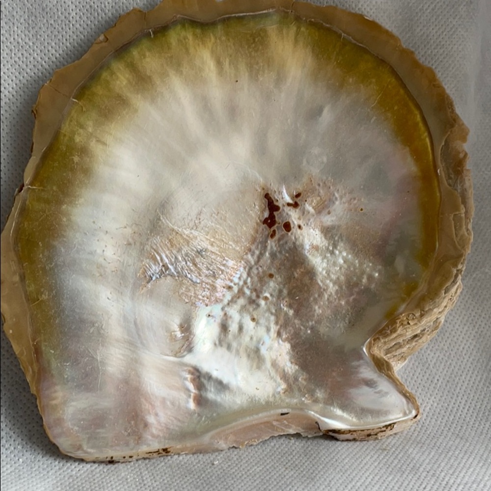 Stunning vintage mother of Pearl dish plate